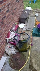 Domestic Rubbish Clearance Kirkby in Ashfield